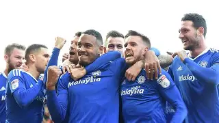 卡迪夫城vs布莱顿